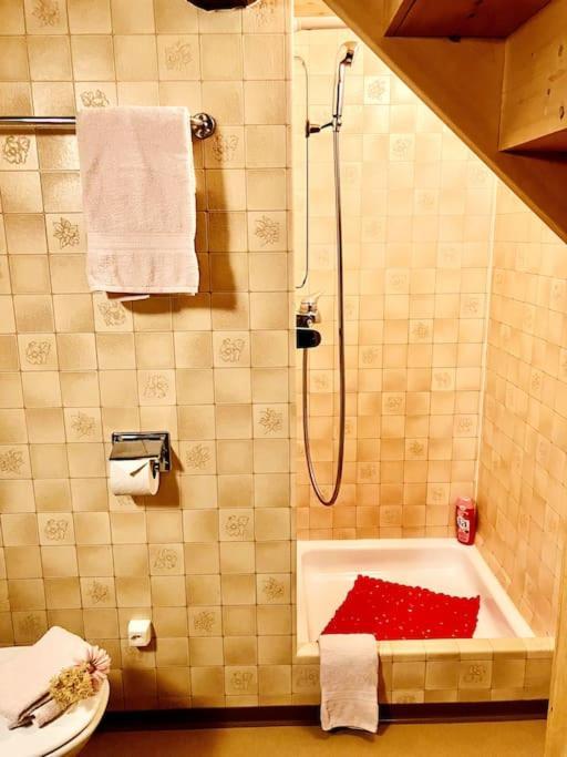 Chesa Margadant Apartment Zuoz Bagian luar foto